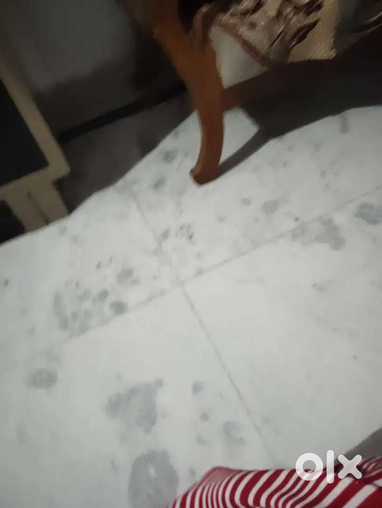 Driver need for company duty