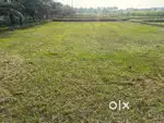Land / Agricultural land