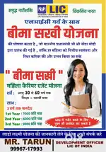 Job LIC AGENT