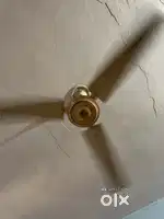 Ceiling Fan