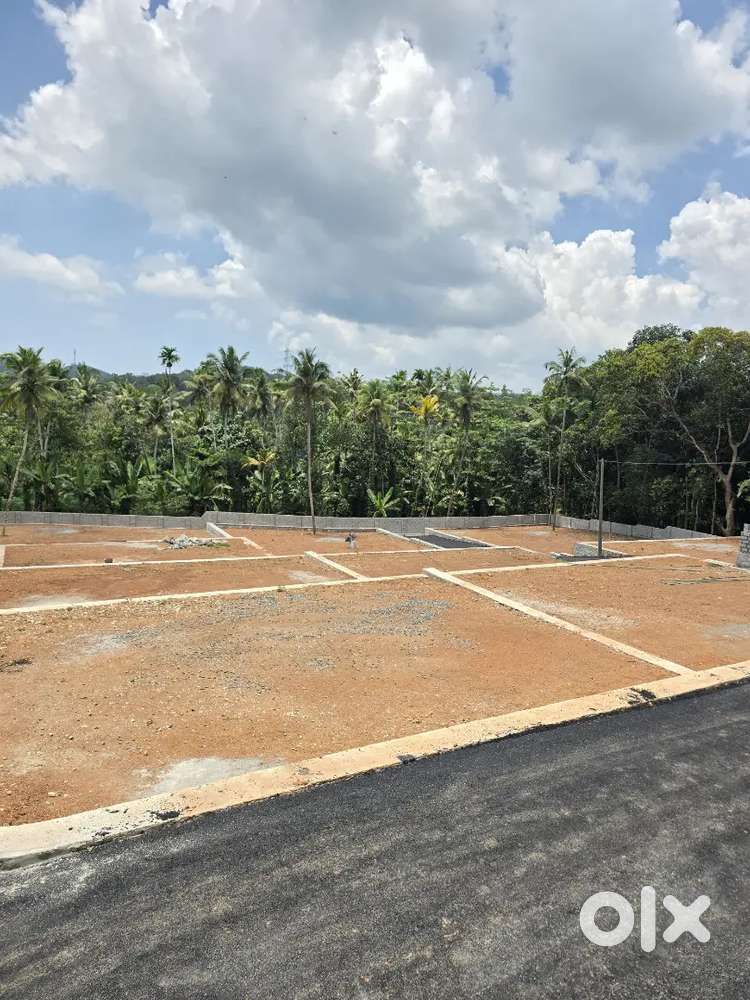 5.6.7.8.9.10CENT HOUSE PLOT POTHENCODE KOLIYAKODE NEAR BYPASS ROAD