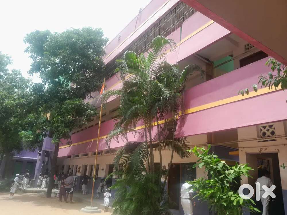 Wanted Lady Pg English and Physics teachers