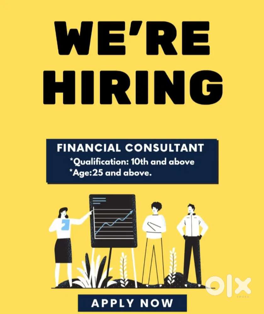 Financial Consultant