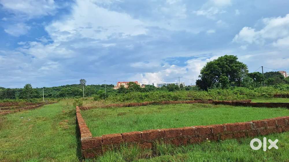 Free litigation land