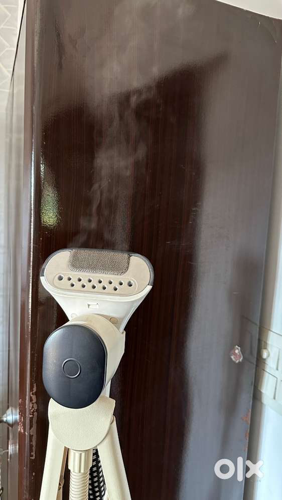 Inalsa garmet steamer
