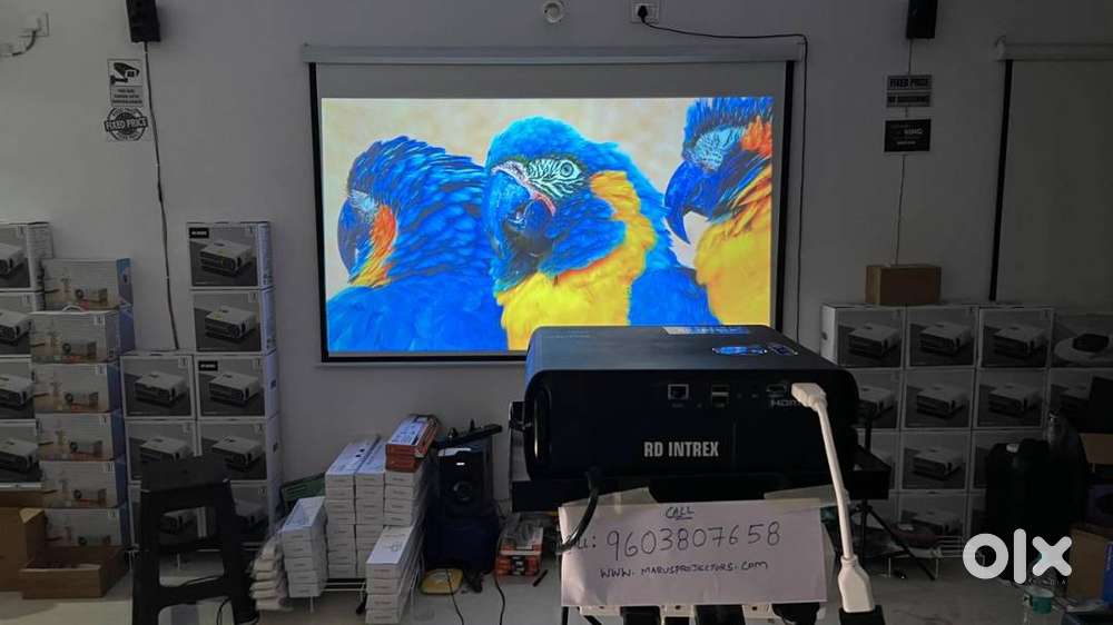 New Best quality 4K 3D projectors and screens wall tripod at wholesale