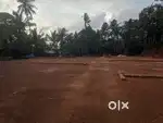 55 cent parambu for sale near malikadavu morikkara road