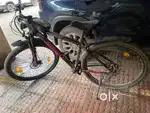 Schnell 21 speed gear cycle