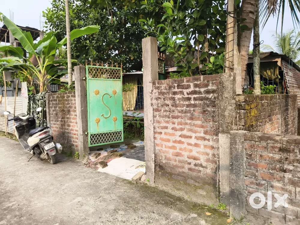 12.5 lassa land for sale