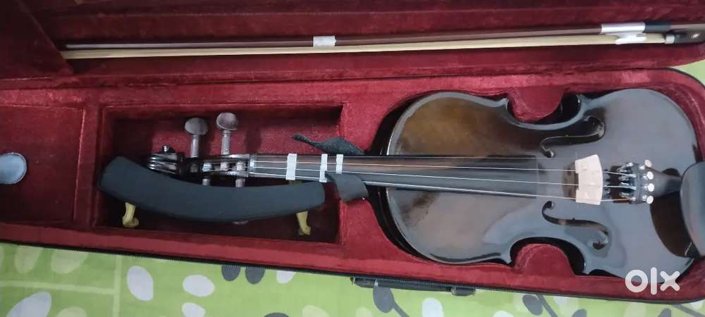 Musical instruments Violin
