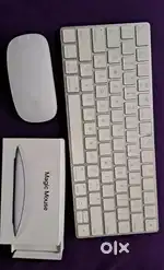 Apple Magic keyboard and mouse(original)