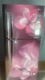 Fridge bikau hai