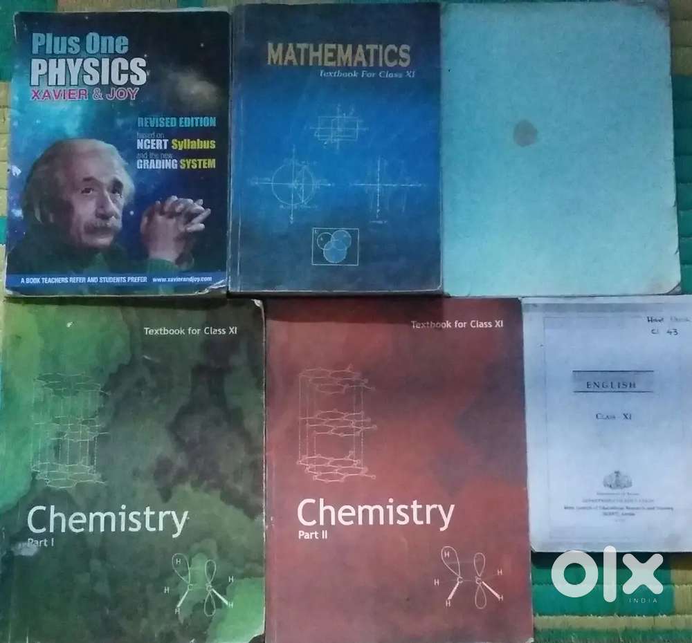 +1 NCERT Syllabus textbooks