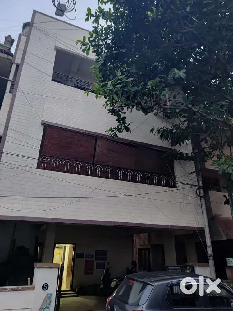 Receptionist,Telecallers, Designer