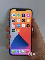 256gb blue colour 12 pro max