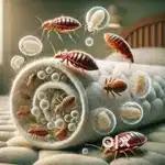 Pest control service