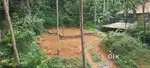 11 cent land for sale in kalikavu