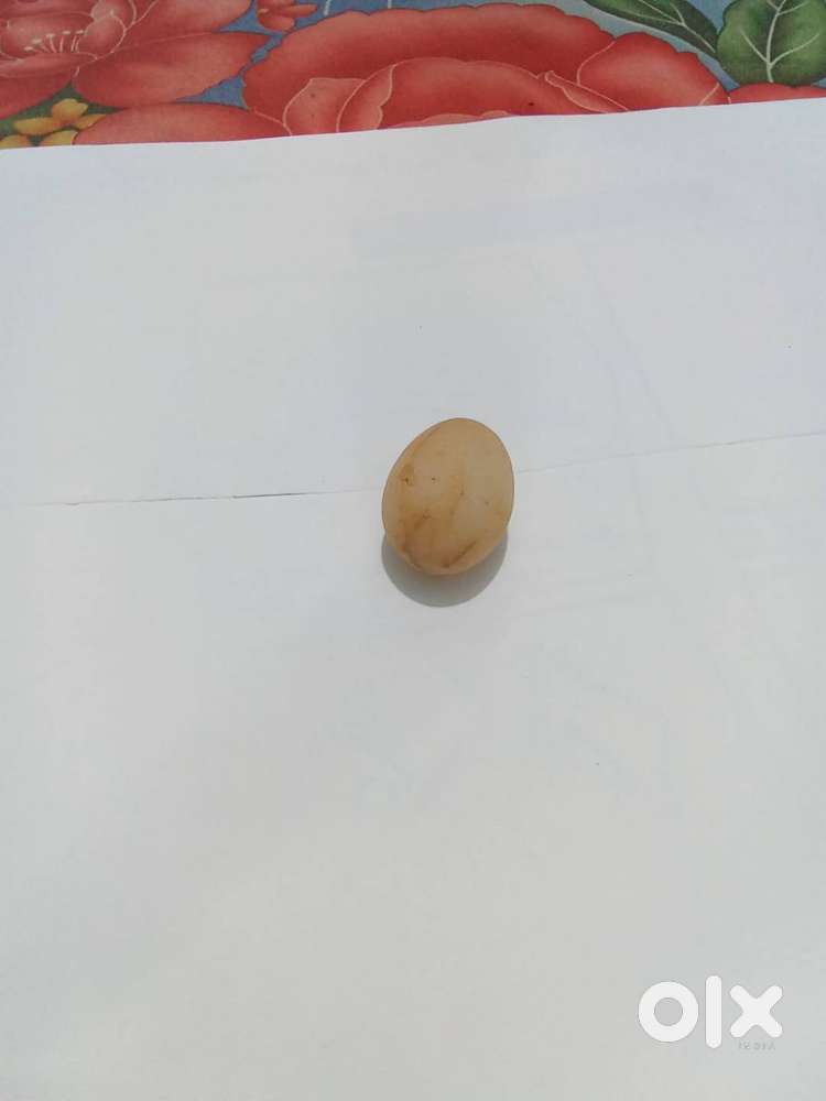 Rare Natural 'Egg Stone' - Smooth, Hand-Polished Energy Piece ₹2500.
