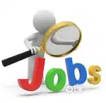 Customer Service Executive