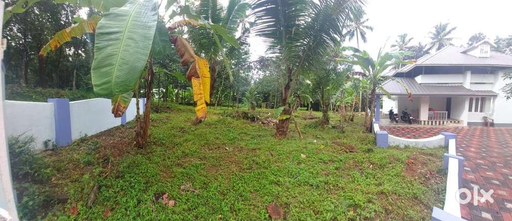 50 Cent plot for sale