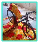Nice cycle