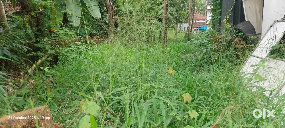 22.5 cent plot Nangarath peedika, Thalassery