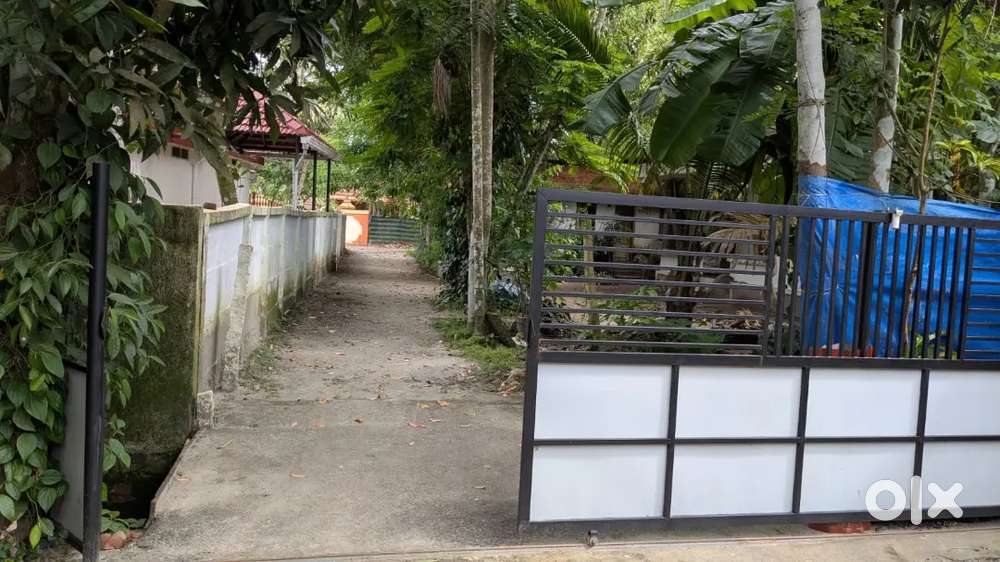 House with 13 Cent plot