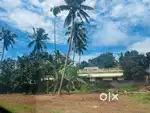 Land 8.5 Cents House plot - New houses coming up around