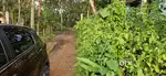 50 & 15& 10& 7 cent house plot near Ettumanoorrailway station 2.25 lak