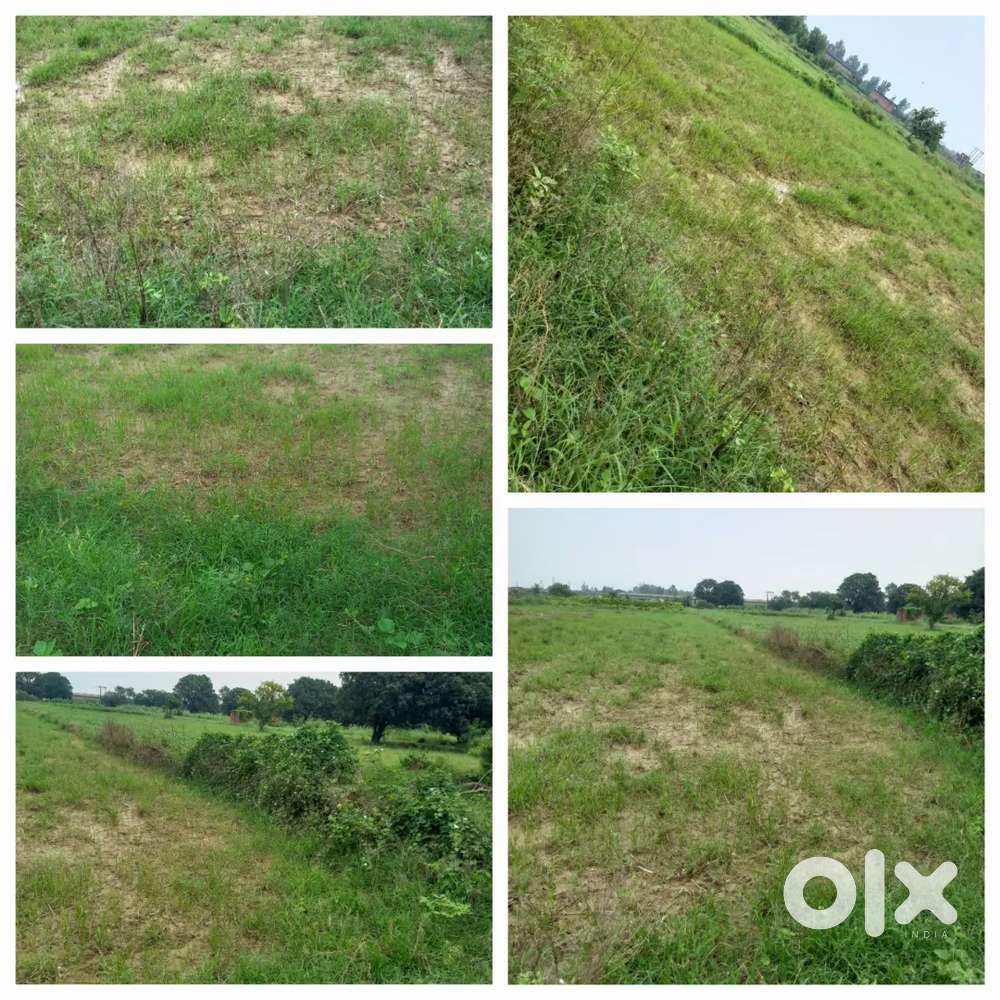 Bes t for muslim family