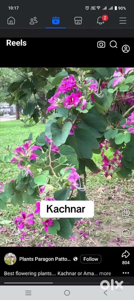 NH tuch small plot required @ Jaleswar area