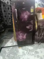 Brand new model by five year warranty