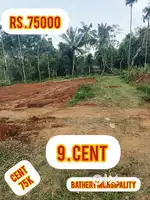 Sulthan bathery 4 km 9 cent house plot