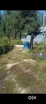 4Lakh marla plot at sale in narbal