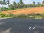 Agriland / Agriculture land