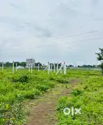 Plot for sell at price - 20 lac