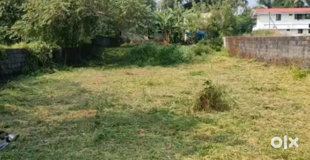 Small 9 cent plot land for sale in Thikkur