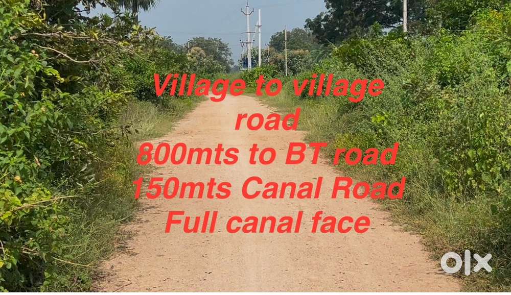 1.20acres red soil agriculture land