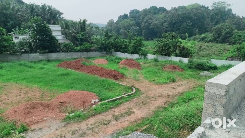 Varikkasseri Mana–ന് സമീപം  2 & 3 BHK Villa Plots for Sale