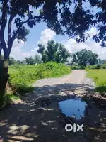 Vikash nager Dakpther chok ke najdik 500 miter ki duri per