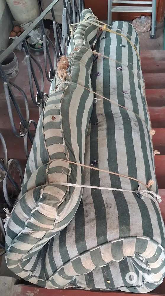 Tosok/jajimfor chobra