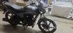 Honda shine 1253