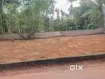 Veluthamanal 10 cent