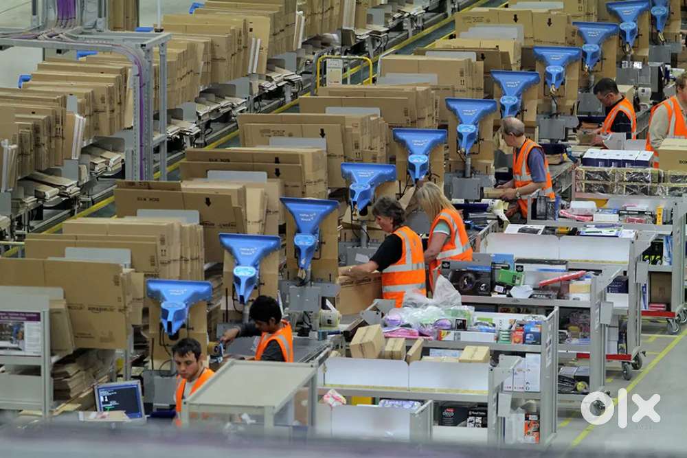 Werhouse packing job