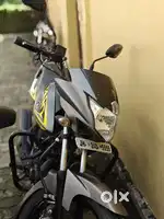 Saluto in mint condition