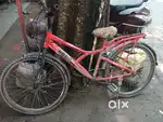 Modal 2024