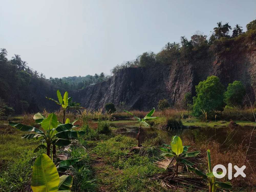 Premium plot for sale