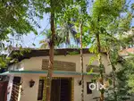 Assam-type house built on 1 Katha 5 Lessa Eksonia land