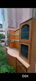 Show case and tv placer
