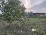 Plot for Sale 900Sq.ft , 500mtr. From ashok leyland